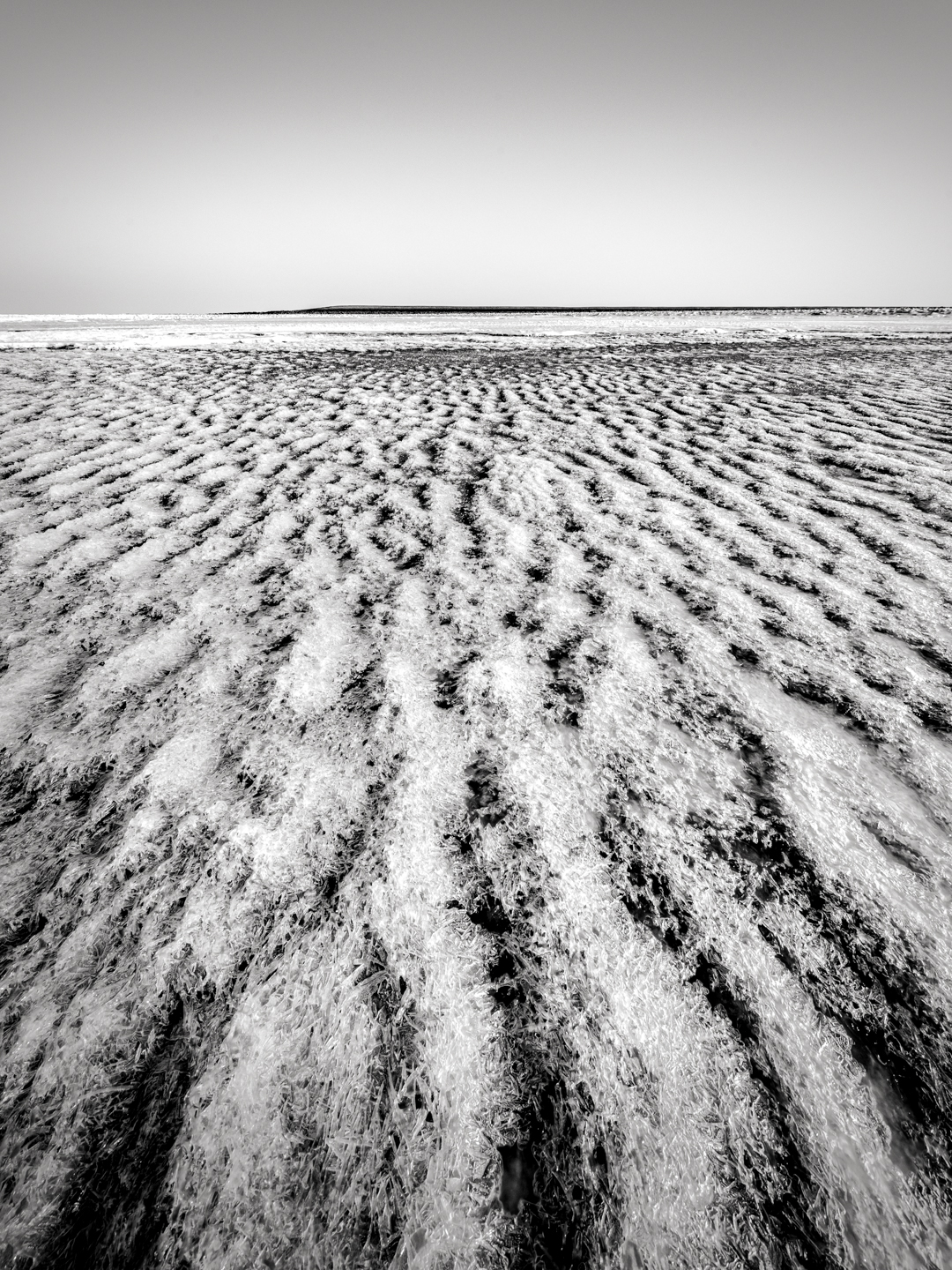 2017, Exhibition:Immagini del Momento, Gallery Lazarus, Hamburg, Photographer©Olaf_Tamm_Hamburg_Germany, RIVA Aquarama NO.4,Lake Tahoe, USA