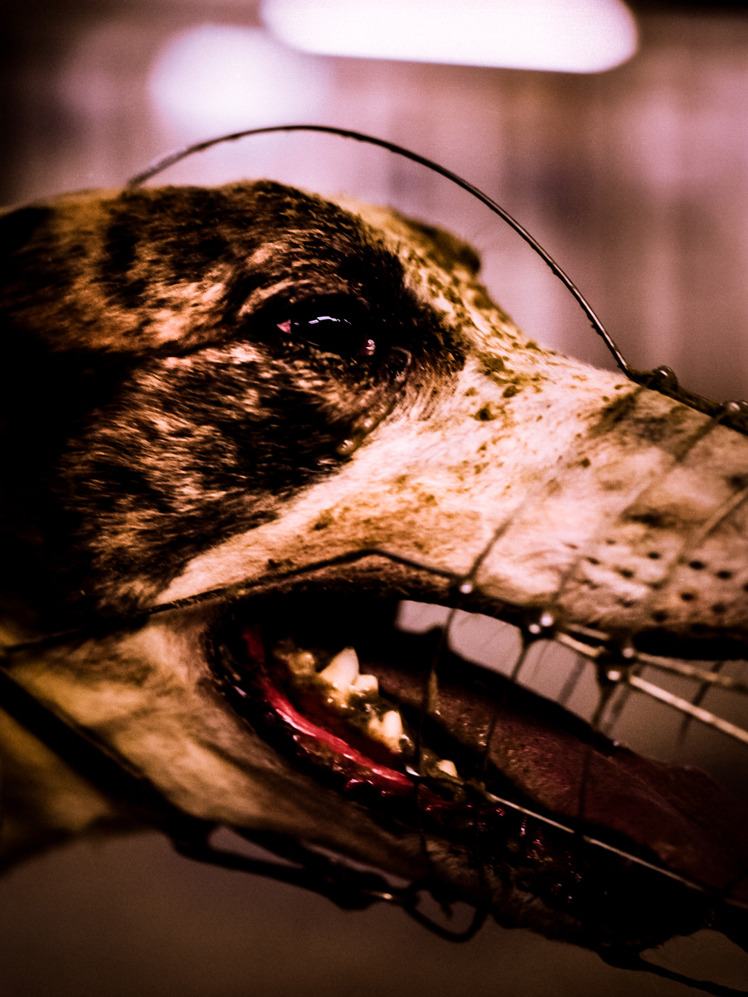 2017; 2018; Architektur; Fotograf©Olaf_Tamm_Hamburg_Germany; HO-Schlueter; Leuphana Universität; Lüneburg